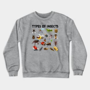 Types Of Insects Bug Identification Science Crewneck Sweatshirt